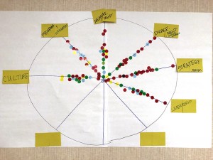 voting board showing dots placed in areas: Culture, Programs and Integration, Measurement, Engagement, Strategy, Leadership