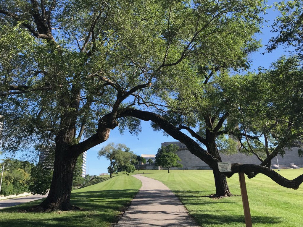 trees framing a walkway