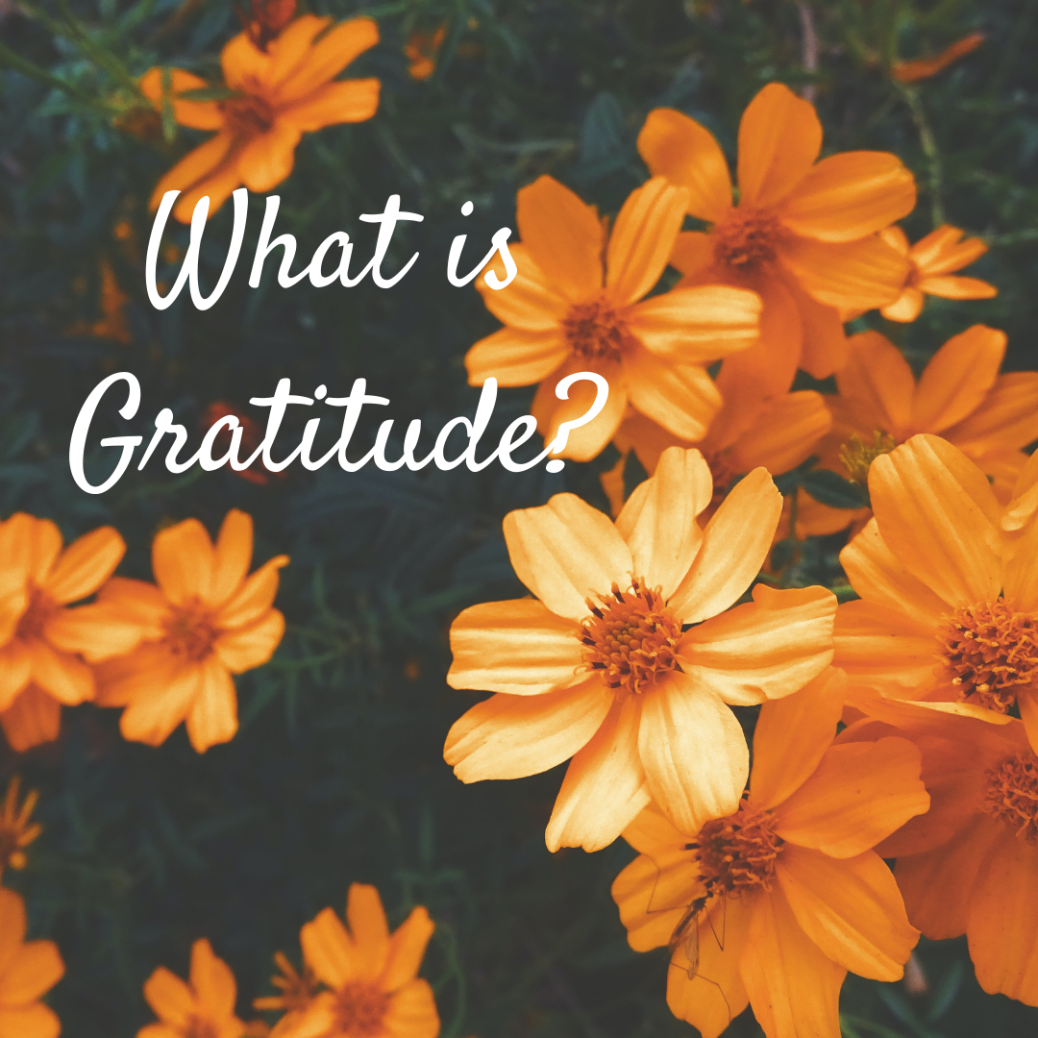 What is Gratitude? - a poem – HERO