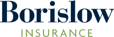 Borislow Insurance logo